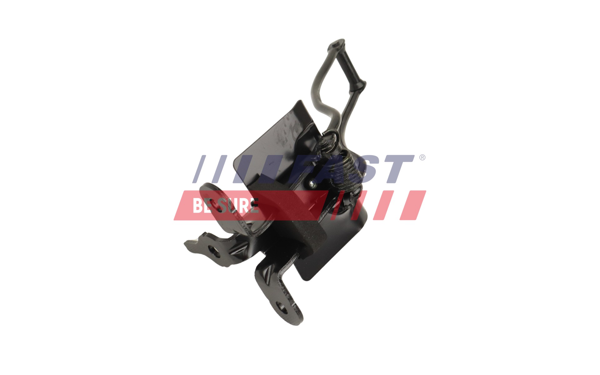 FAST ft10166 for FORD