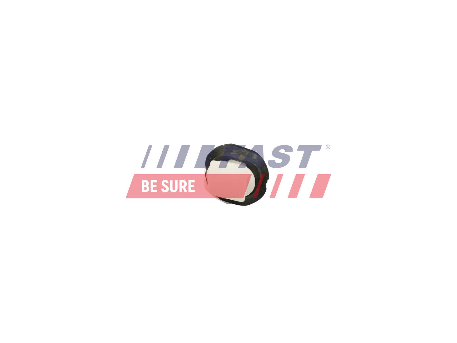 FAST Clips, side-/beskyttelseslister ft96300 for CITROËN FIAT