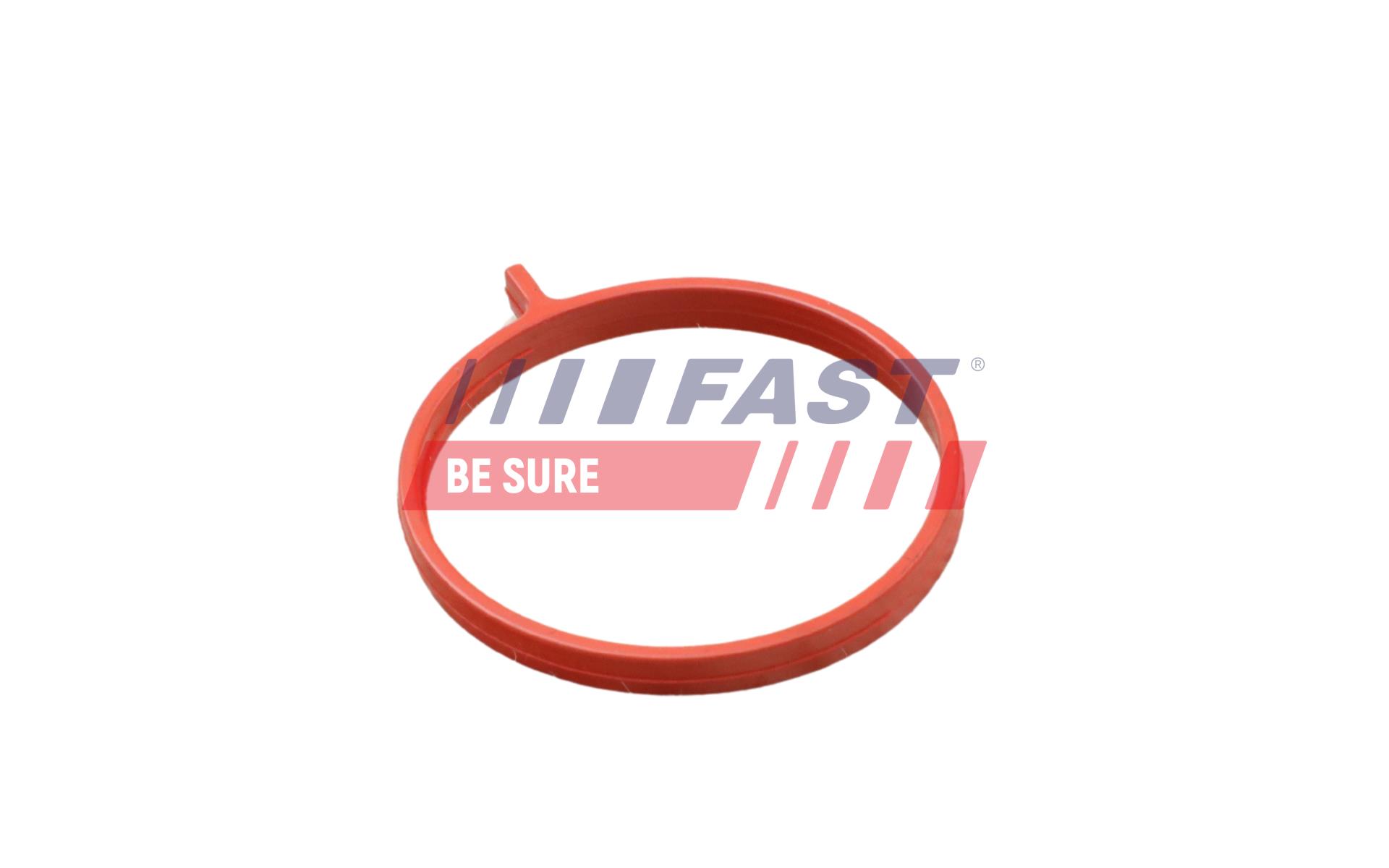 FAST Pakningsring FT48959 for FIAT