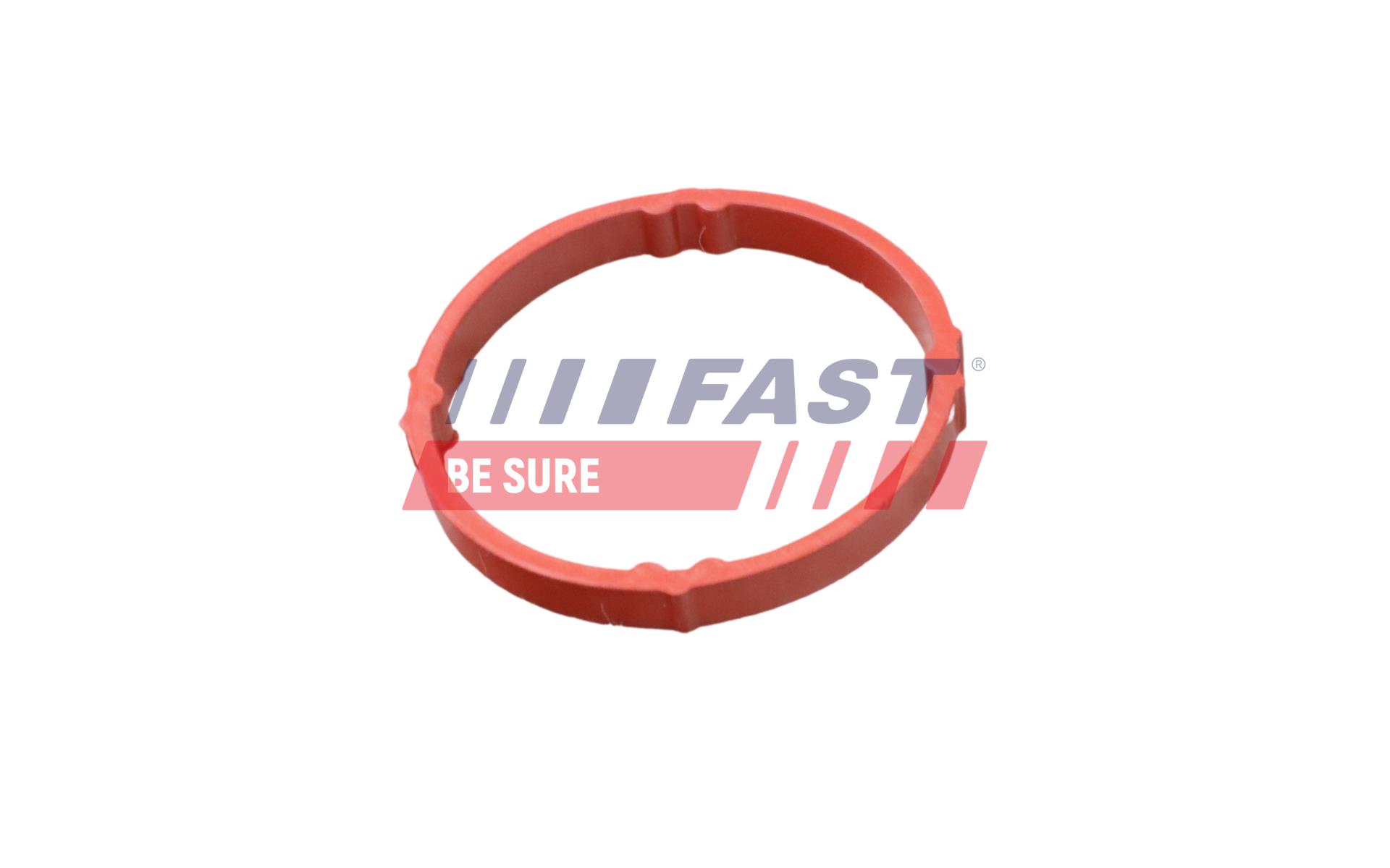 FAST Pakningsring FT48958 for RENAULT