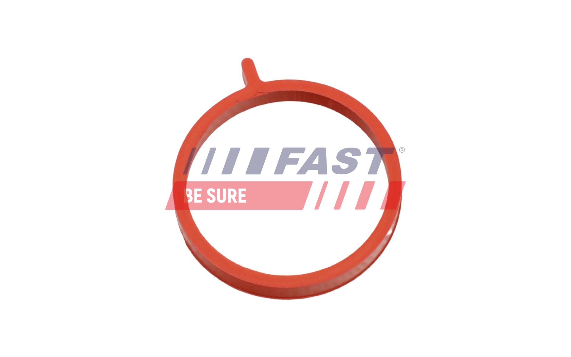 FAST Pakningsring, turboladerslange FT48964 for JEEP