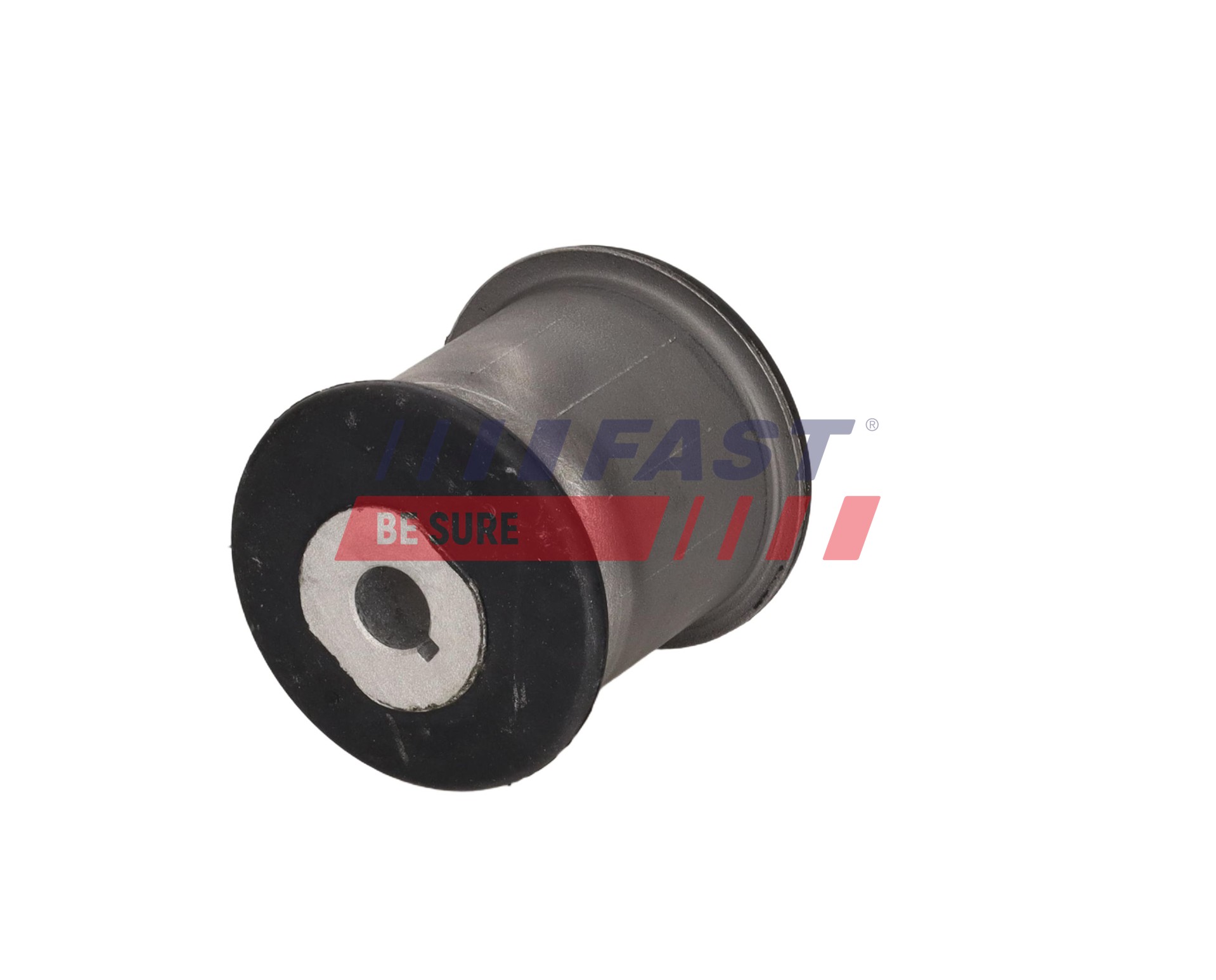 FAST ft10168 for VW