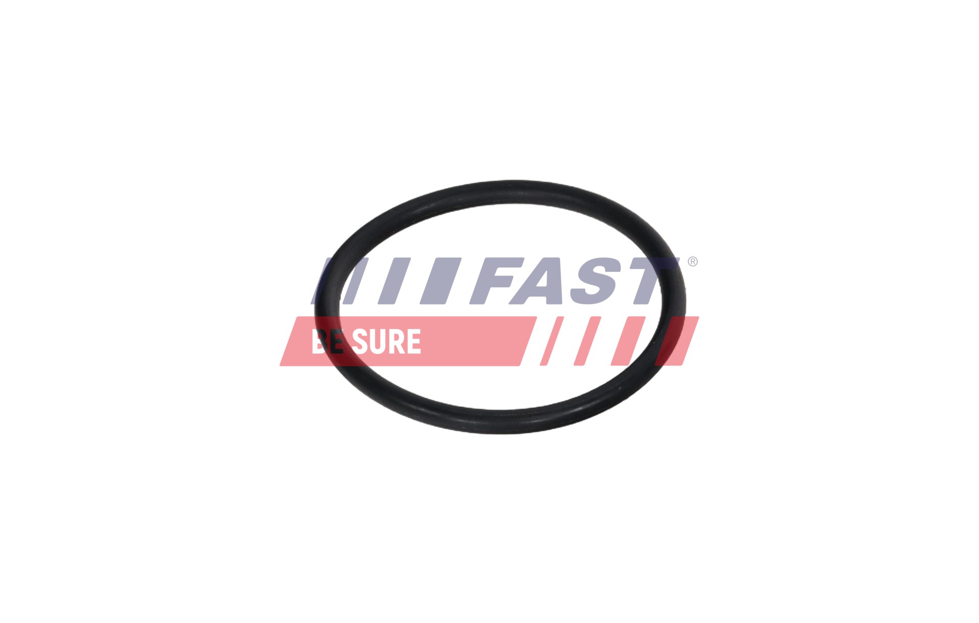 FAST ft13171 for IVECO VW