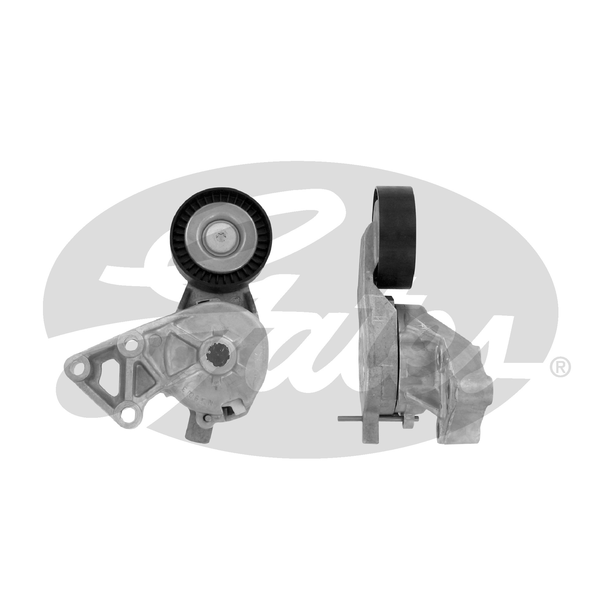 GATES Remstrammer, kilerem t38307 for FORD VW