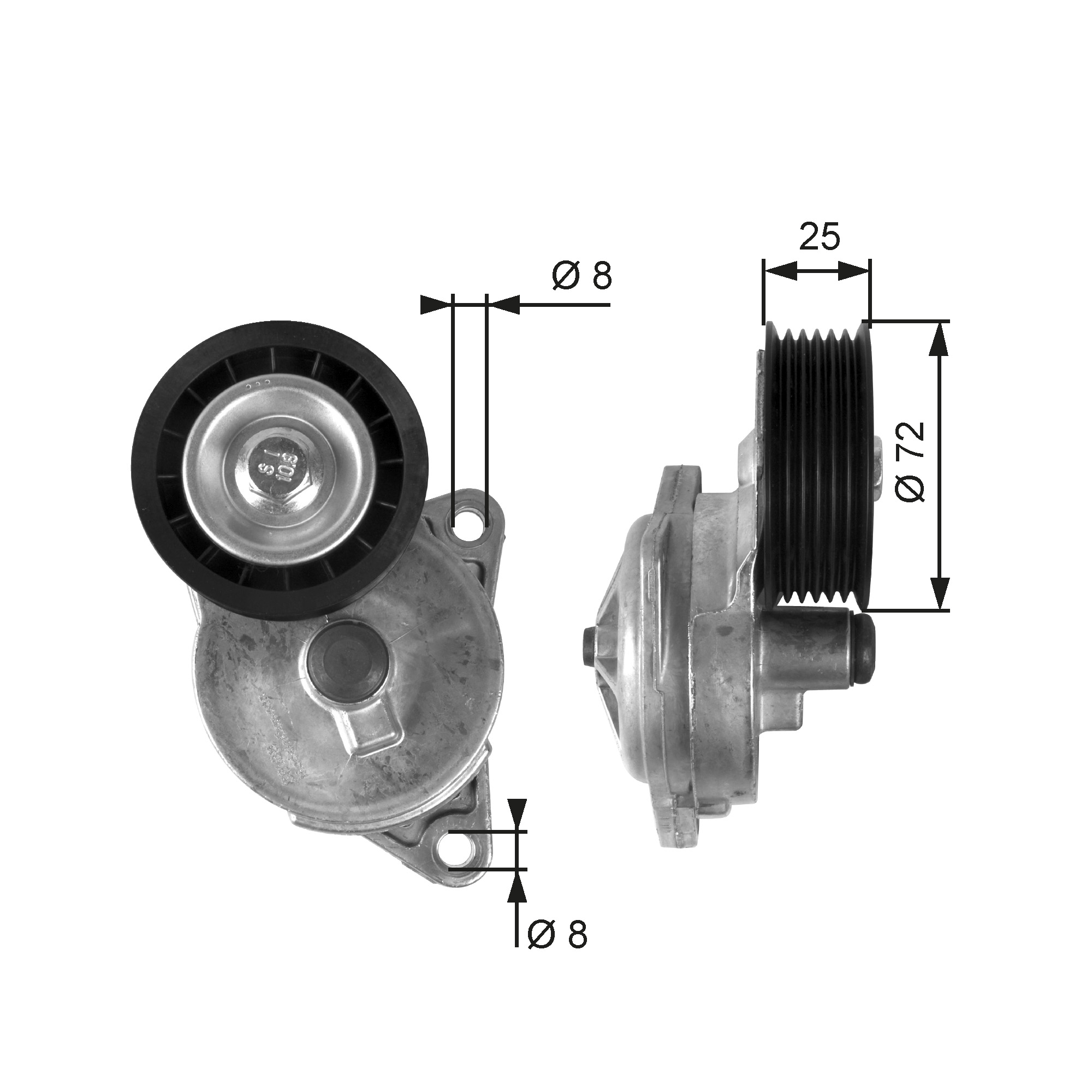 GATES Remstrammer, kilerem t38188 for FORD MAZDA