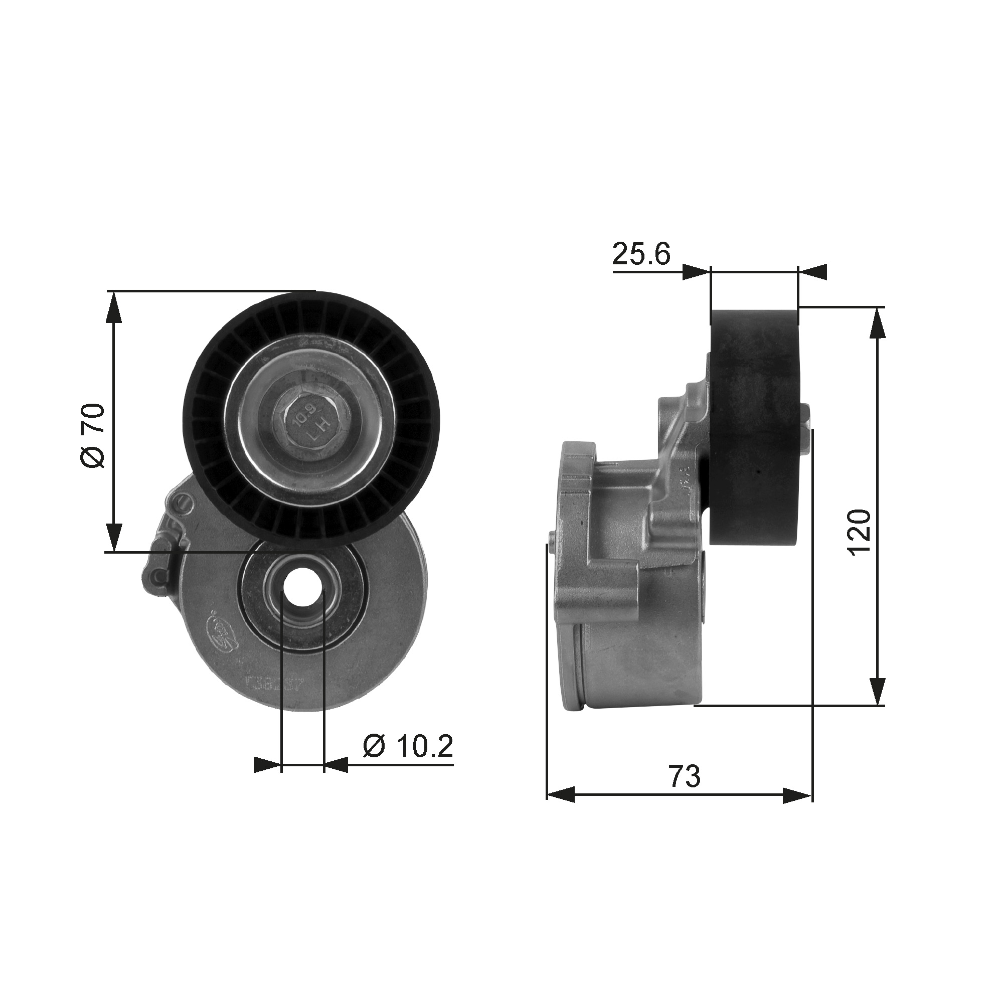 GATES Remstrammer, kilerem t38237 for PEUGEOT LANCIA
