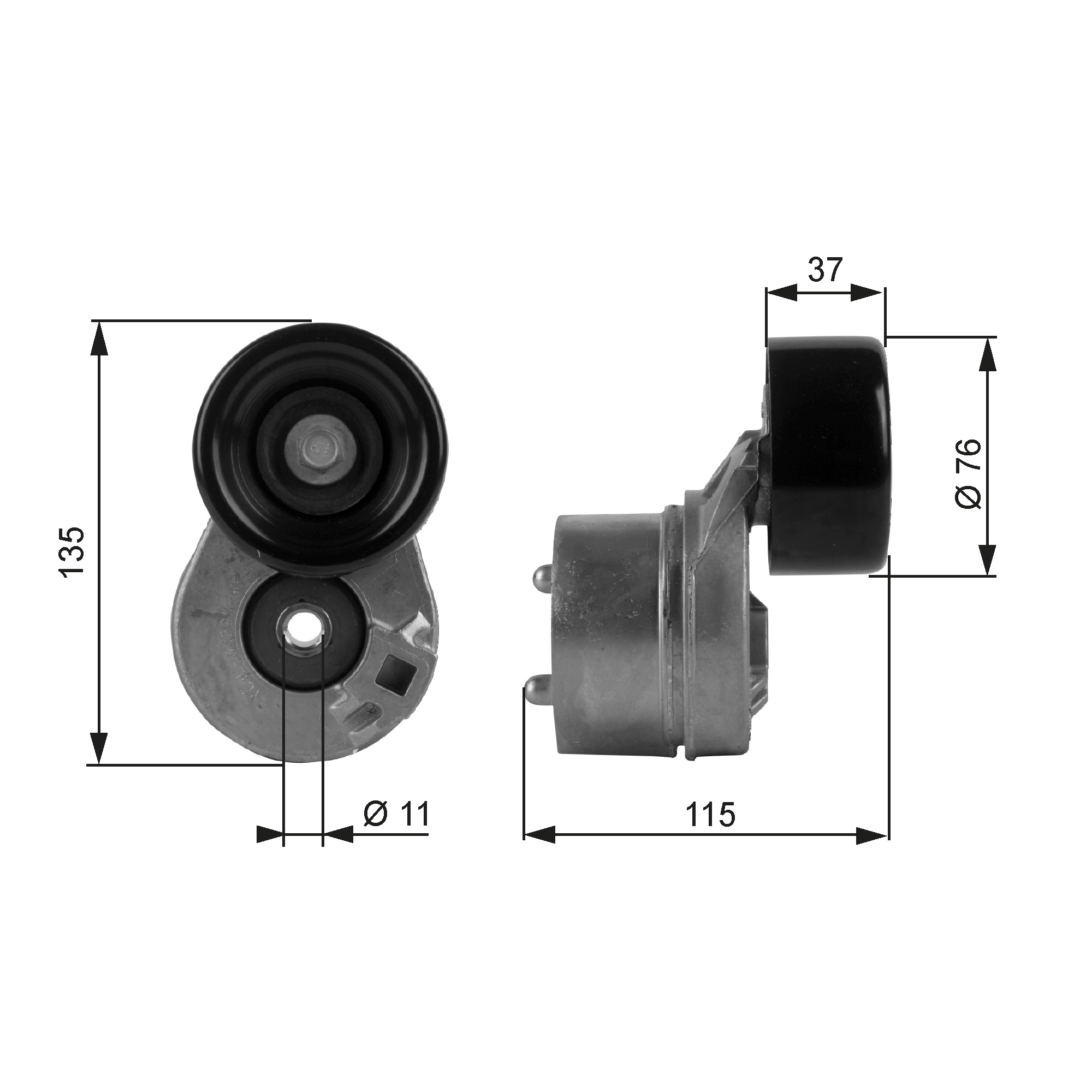 GATES Remstrammer, kilerem t38431 for FORD