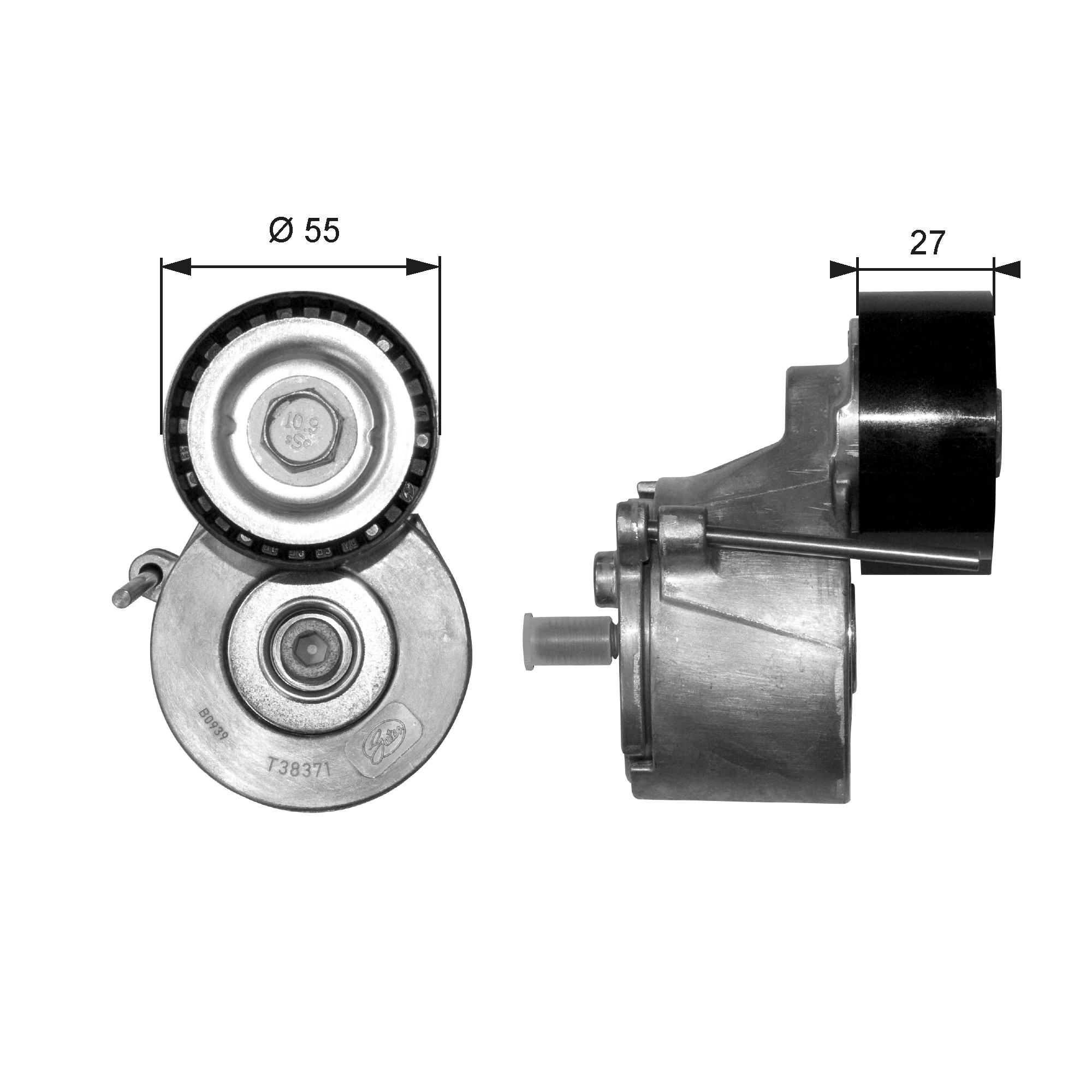 GATES Remstrammer, kilerem t38371 for PEUGEOT FORD FORD ASIA & OCEANIA CITROËN MAZDA SUZUKI