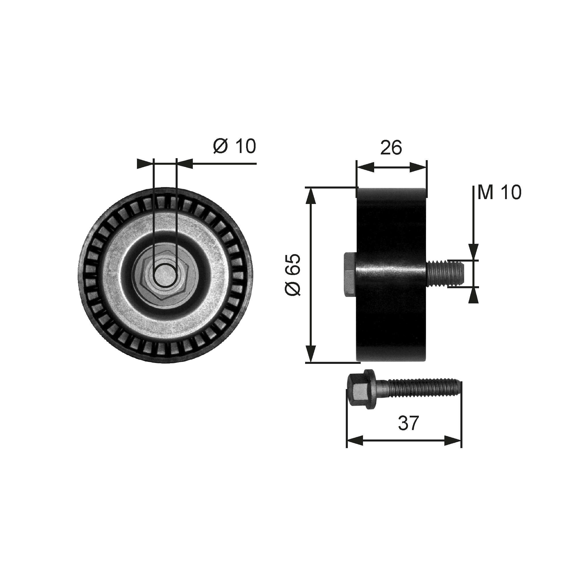GATES Medløberhjul, multi-V-rem t36300 for VW