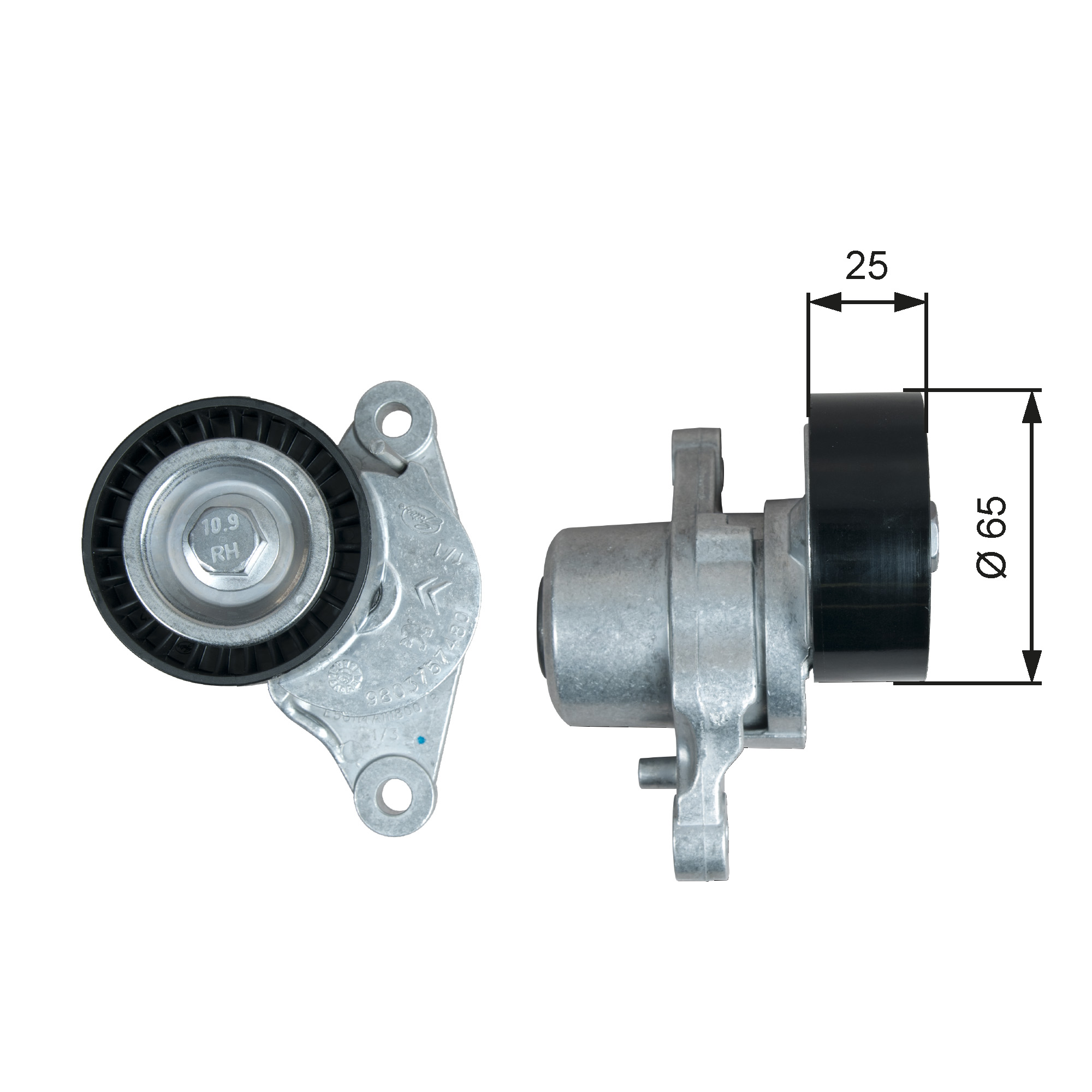 GATES Remstrammer, kilerem t39377 for DS PEUGEOT