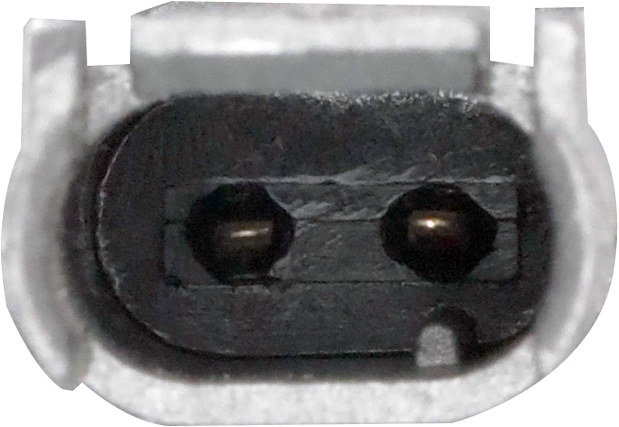 GATES Slange, krumtaphusventilation emh137 for BMW