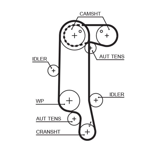 GATES Tandrem 5565xs for VW