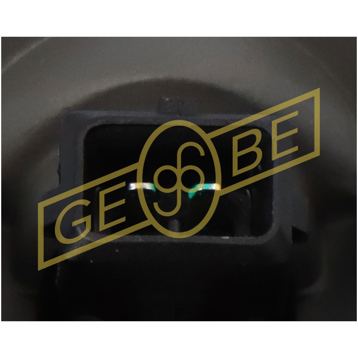 GEBE 965141