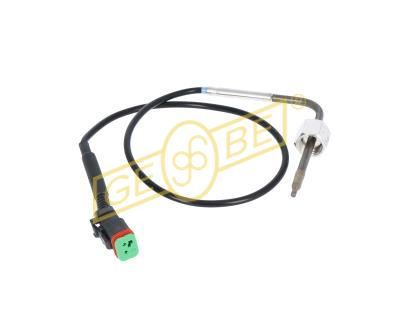 GEBE 981691