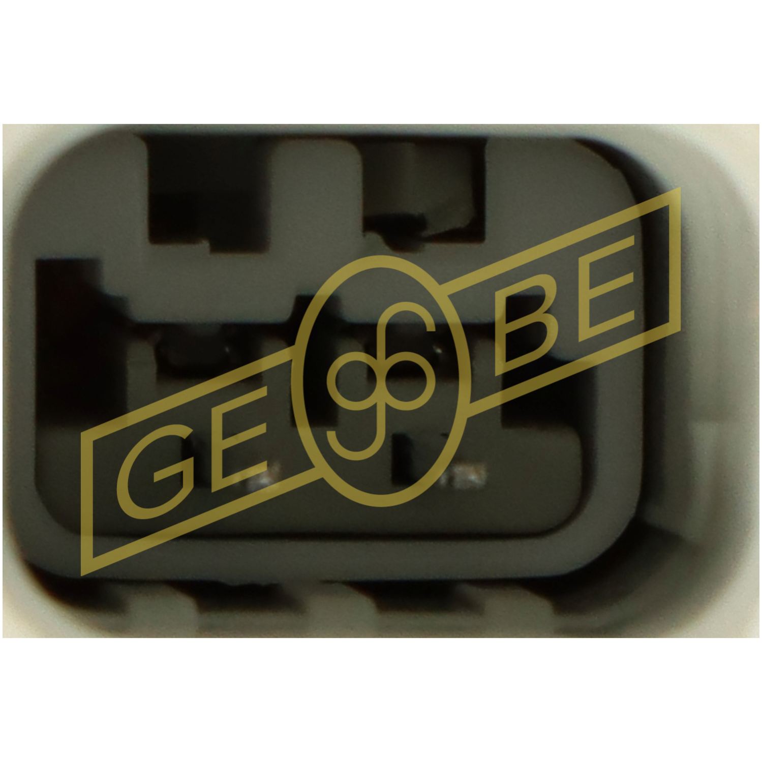 GEBE 981711