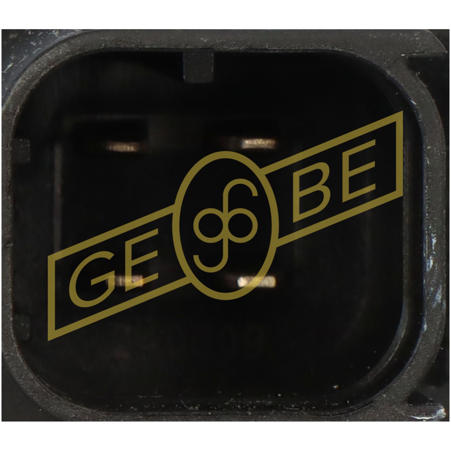 GEBE 984091