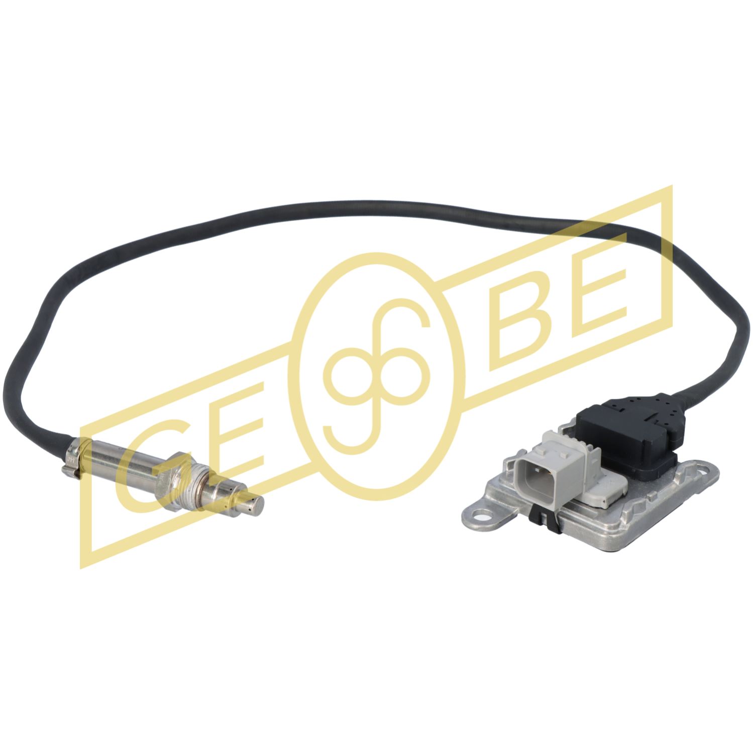 GEBE 938251