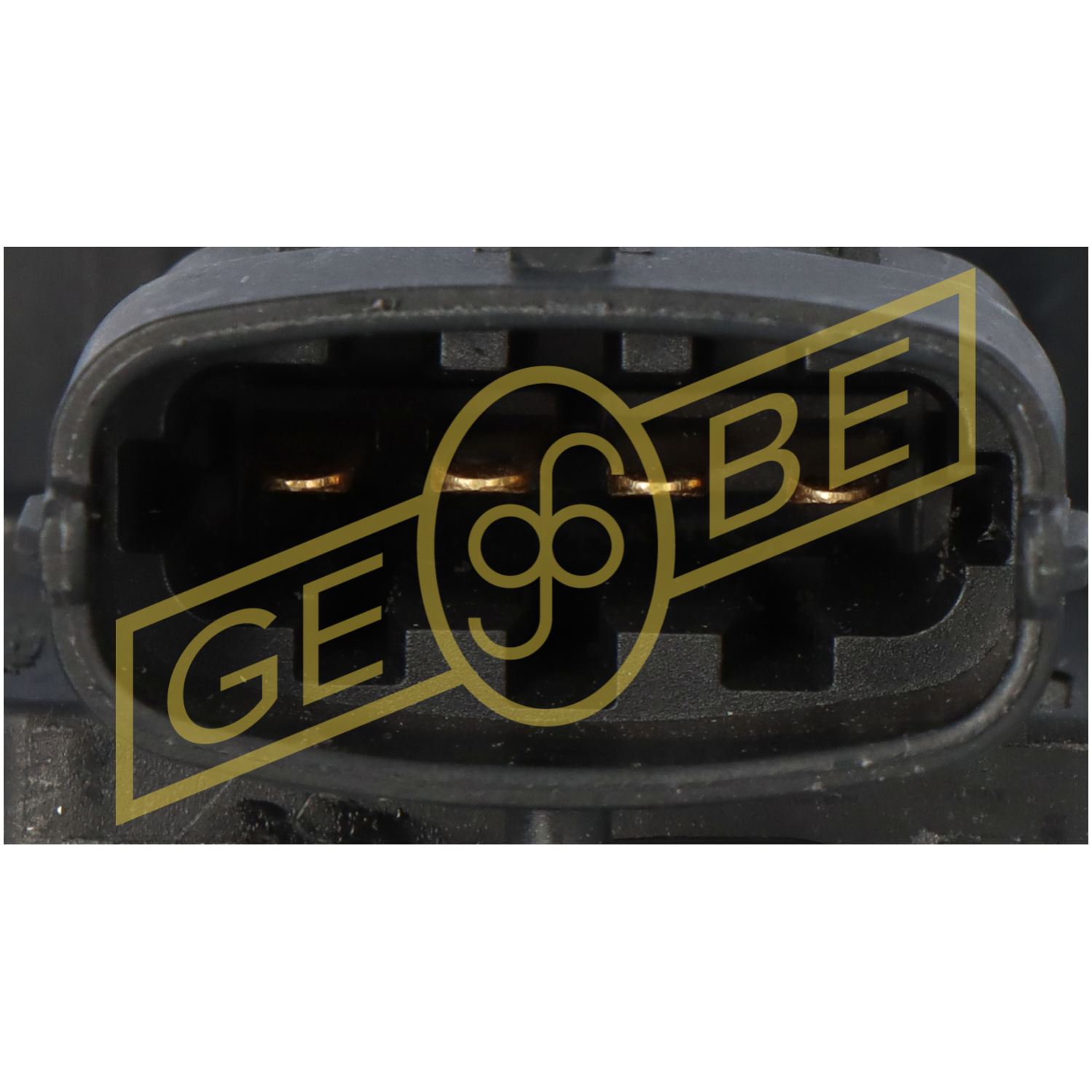 GEBE 938241
