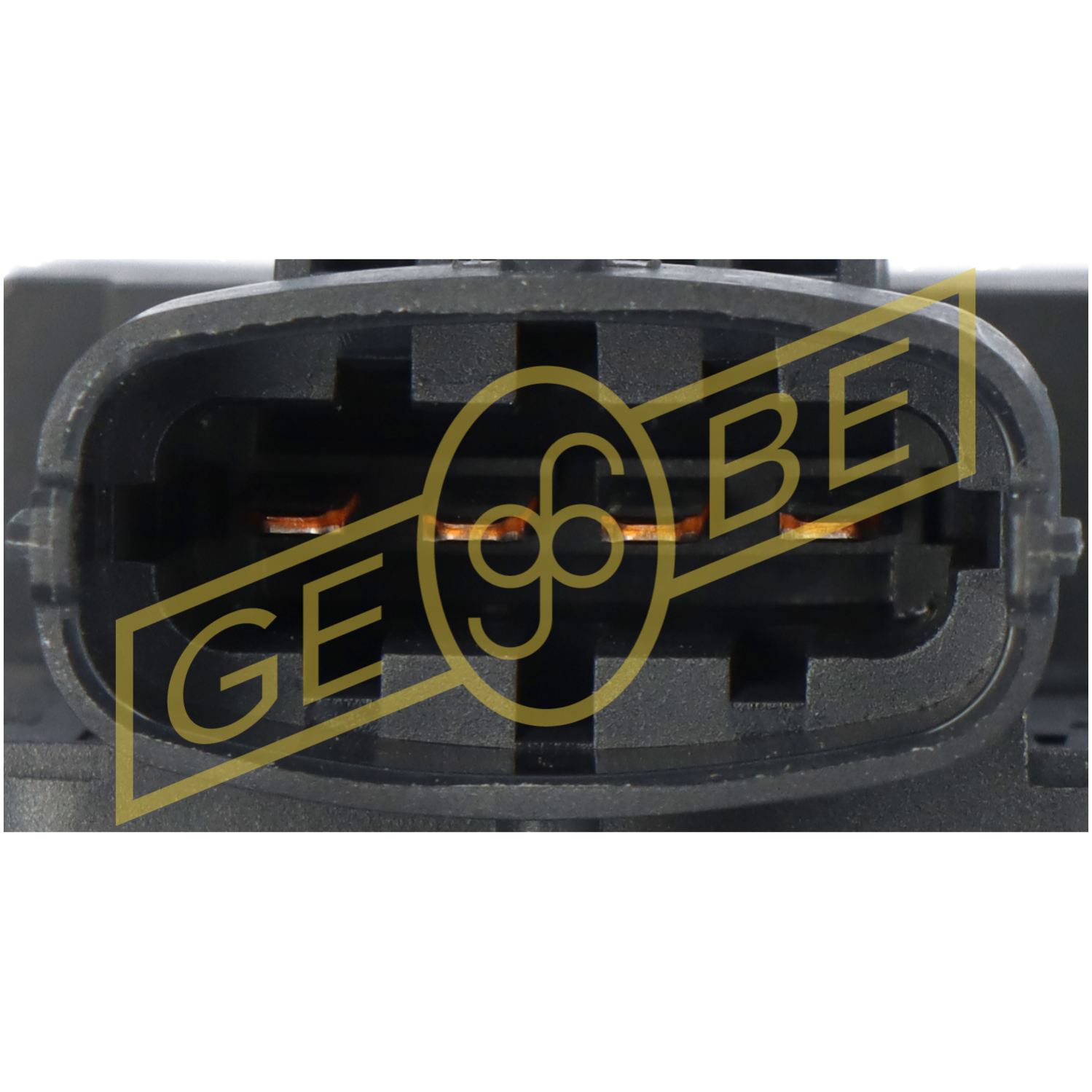 GEBE 938761