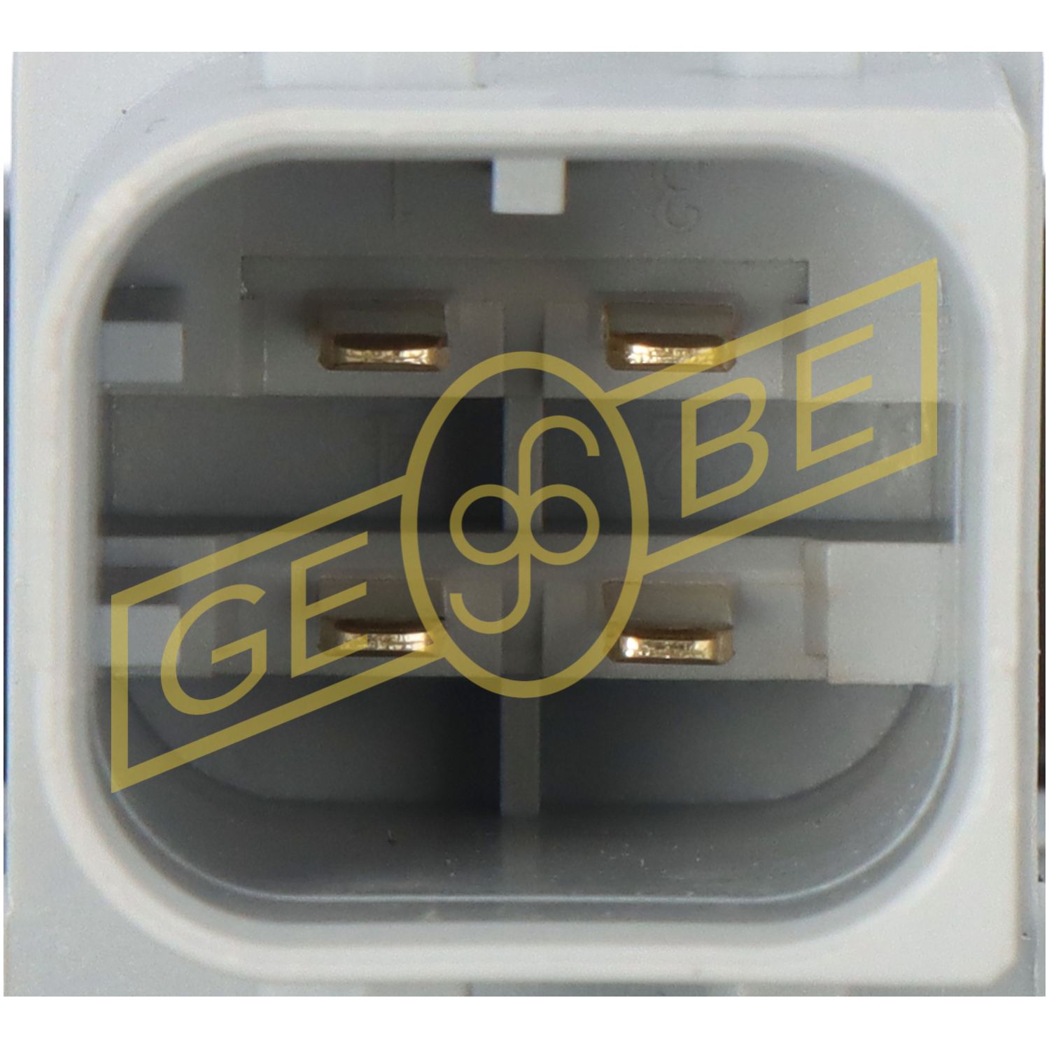 GEBE 935031
