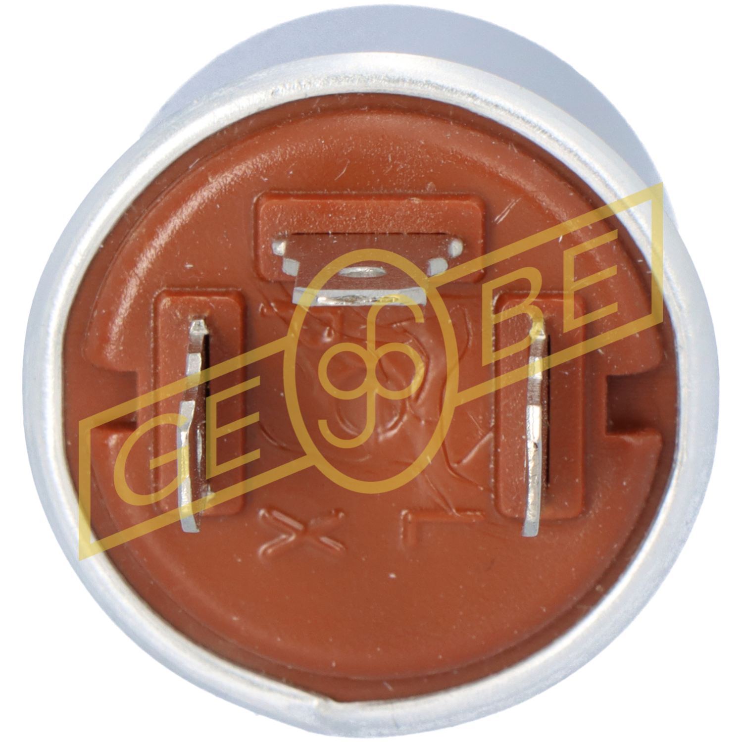 GEBE 995421