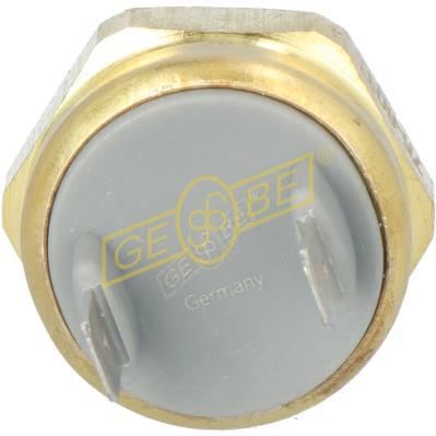 GEBE 925691