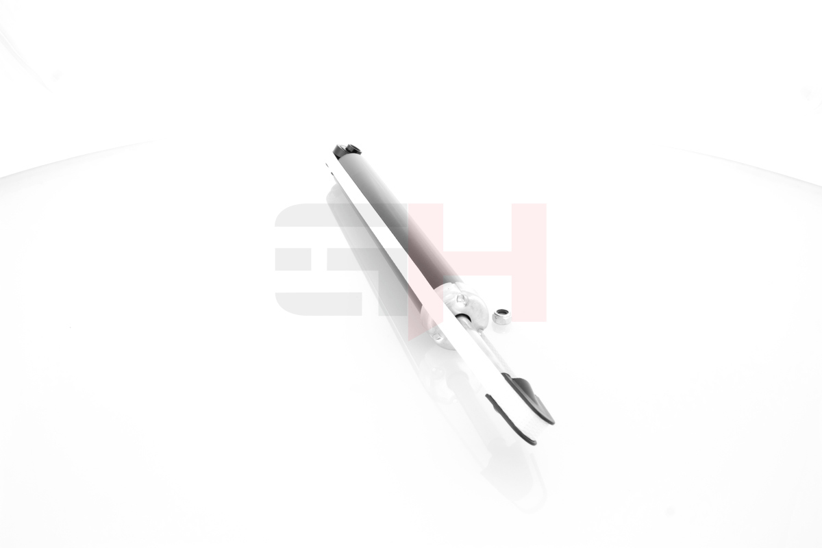 GH Støddæmper gh332549 Bagaksel venstre for FORD