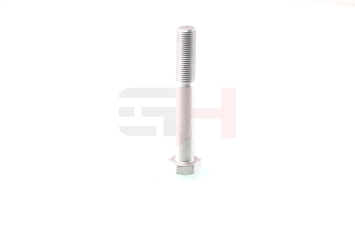 GH Skrue/bolt, akseltap gh391533 Bagaksel nede for BMW
