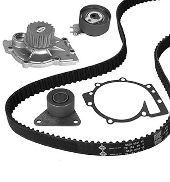 METELLI Vandpumpe + tandremssæt 3010191 for VOLVO FORD RENAULT