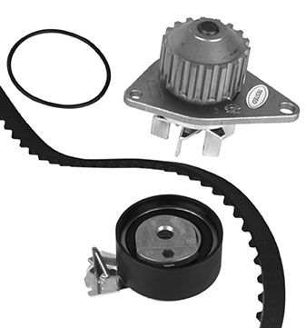 METELLI Vandpumpe + tandremssæt 3008371 for PEUGEOT FIAT CITROËN