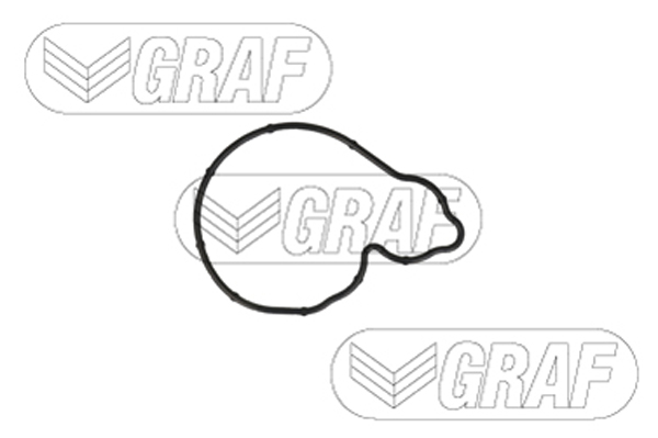 GRAF Vandpumpe pa1380 for BMW