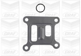 GRAF Vandpumpe pa807 for FORD JAGUAR