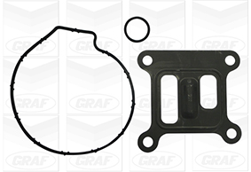 GRAF Vandpumpe pa839 for FORD JAGUAR