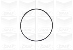 GRAF Vandpumpe pa940 for VAUXHALL