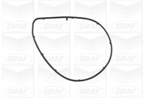 GRAF Vandpumpe pa1001 for LEXUS TOYOTA
