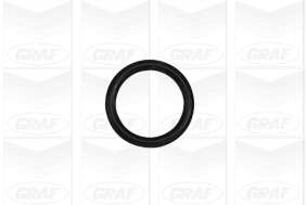 GRAF Vandpumpe pa1023 for KIA HYUNDAI