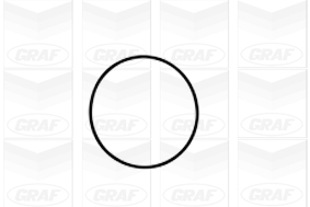 GRAF Vandpumpe pa1061 for CHEVROLET