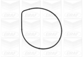 GRAF Vandpumpe pa1072 for AUDI SKODA SEAT VW VW (FAW)