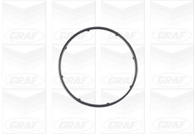 GRAF Vandpumpe pa1083 for OPEL VAUXHALL FORD CHEVROLET LANCIA FIAT PEUGEOT SUZUKI