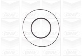 GRAF Vandpumpe pa1108 for JEEP