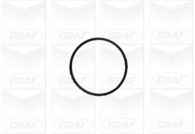 GRAF Vandpumpe pa1155 for LANCIA