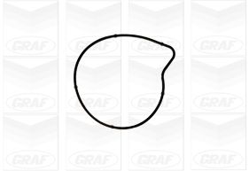 GRAF Vandpumpe pa1179 for MERCEDES-BENZ