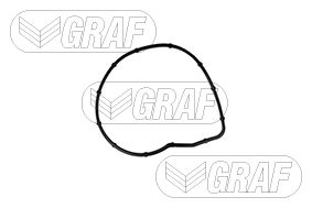 GRAF Vandpumpe pa1232 for OPEL PEUGEOT DS BMW MINI
