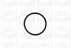GRAF Vandpumpe pa1245 for INFINITI