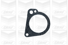 GRAF Vandpumpe pa440 for FORD