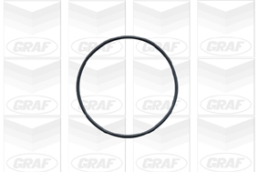 GRAF Vandpumpe pa442 for VAUXHALL OPEL DAEWOO