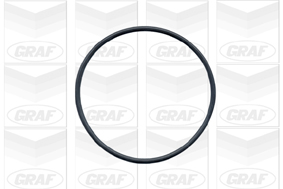 GRAF Vandpumpe pa591 for AUDI