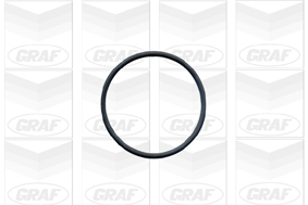 GRAF Vandpumpe pa603 for VW AUDI