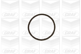 GRAF Vandpumpe pa654 for VW AUDI