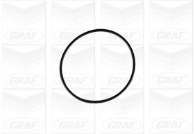 GRAF Vandpumpe pa662 for AUDI